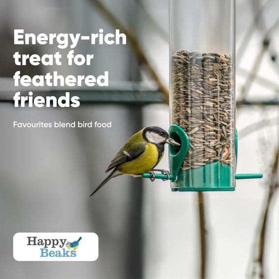 Happy Beaks - Black Sunflower Seeds